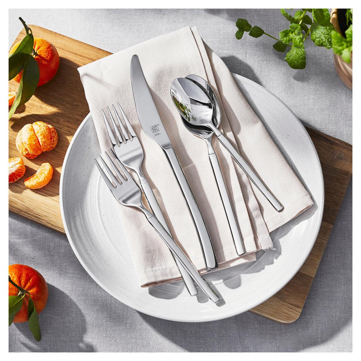 ZWILLING Opus (polished) 20-pc Menu Set, 18/10 Stainless Steel