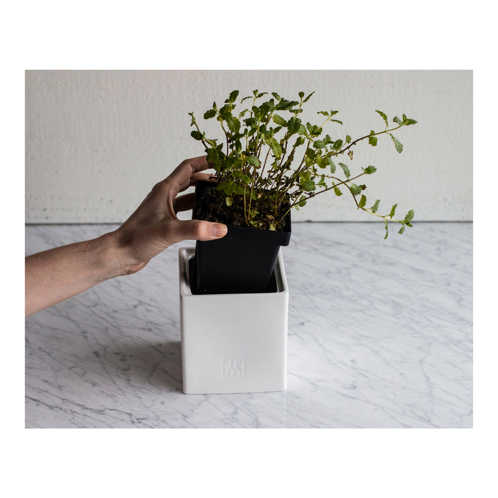 ZWILLING Ceramic Storage 0.9 qt, Ceramic, Medium Box With Herb Pot And Lid