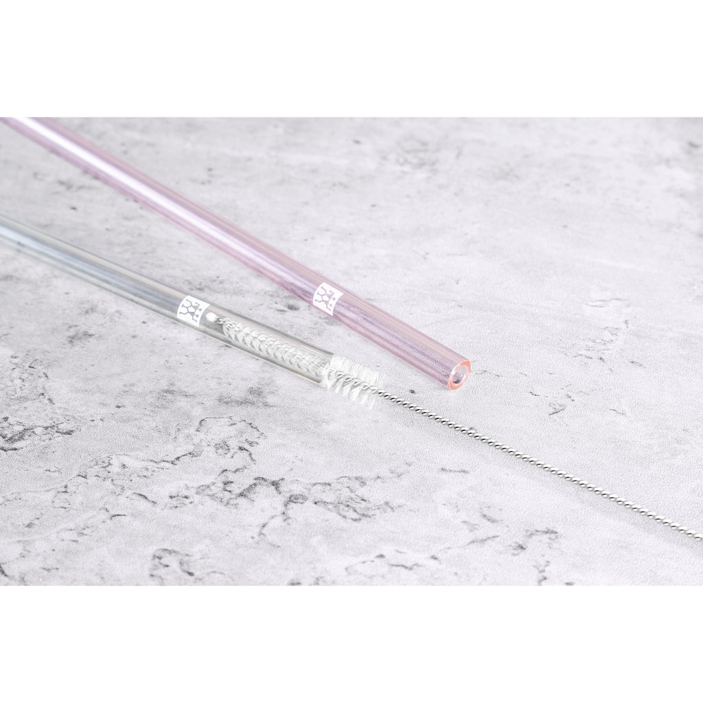 ZWILLING Sorrento Glassware Glass Straw - Clear - Straight Set