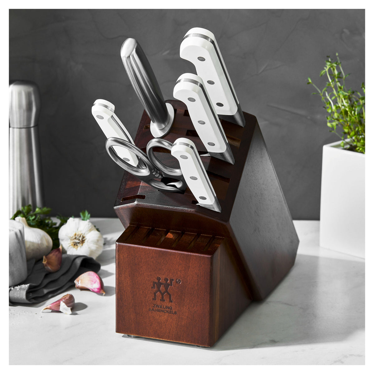 ZWILLING Pro le blanc 6-pc, Knife block set