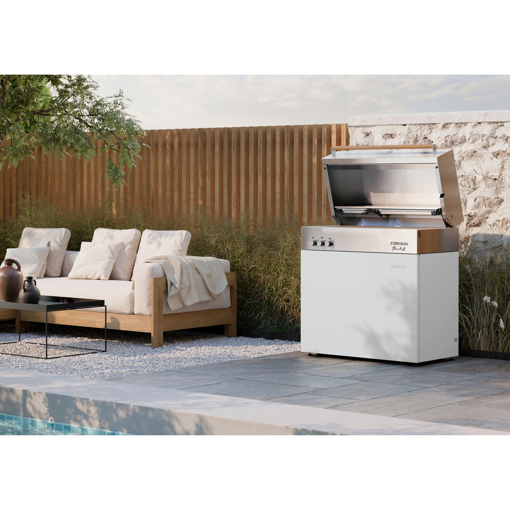 ZWILLING Flammkraft Model D Natural gas grill