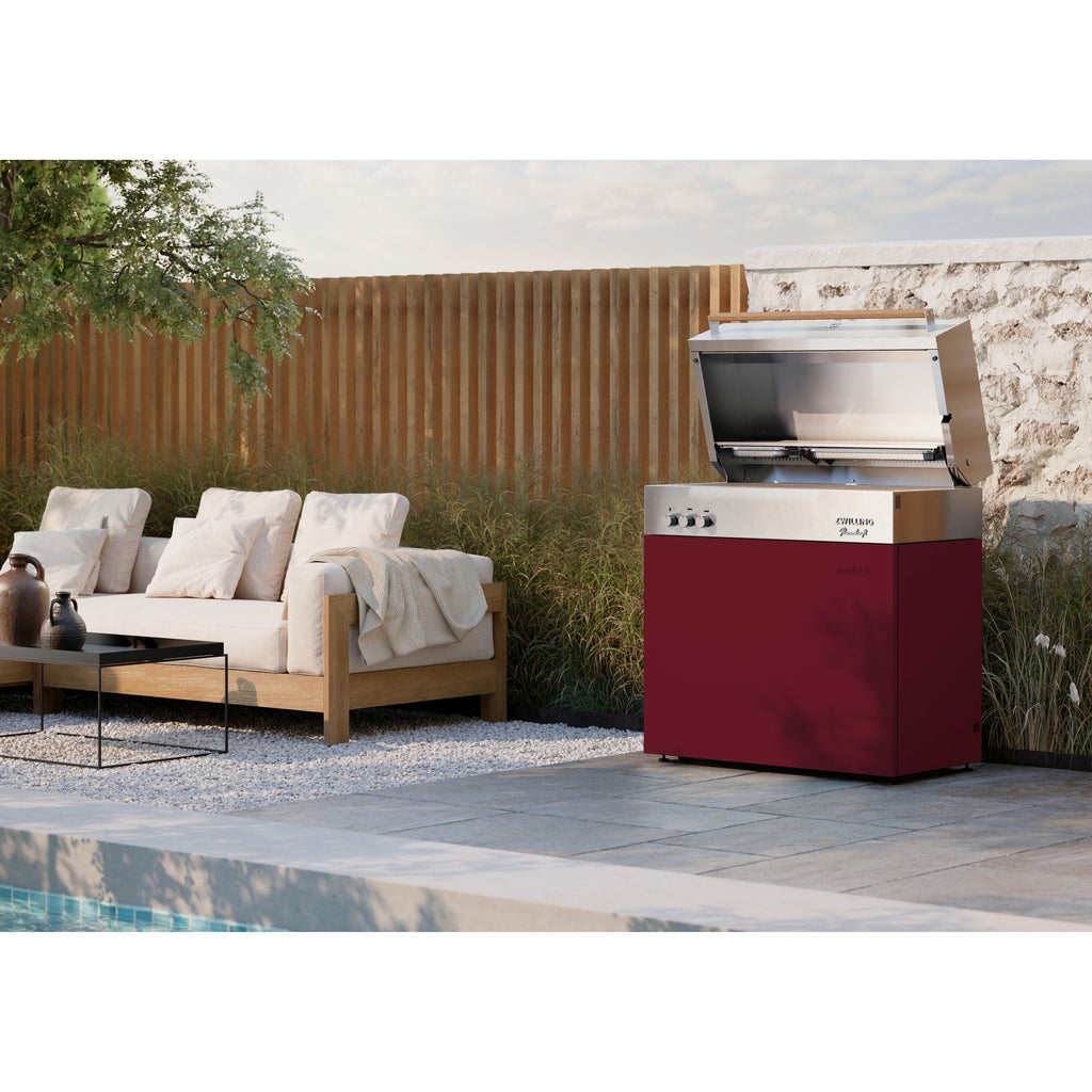 ZWILLING Flammkraft Model D Natural gas grill