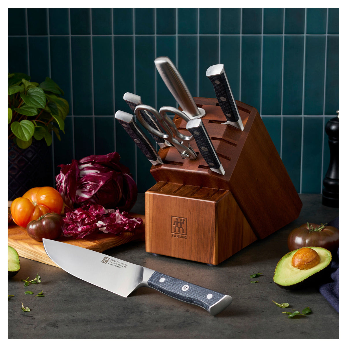 ZWILLING Spectrum 8-pc, Knife block set