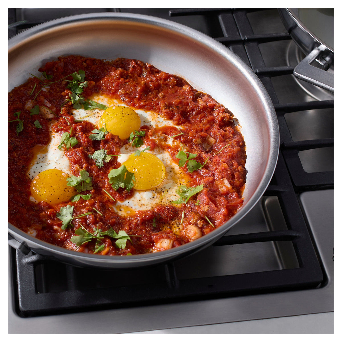Demeyere Industry 5 Nanotouch 11-inch, 18/10 Stainless Steel, Frying Pan
