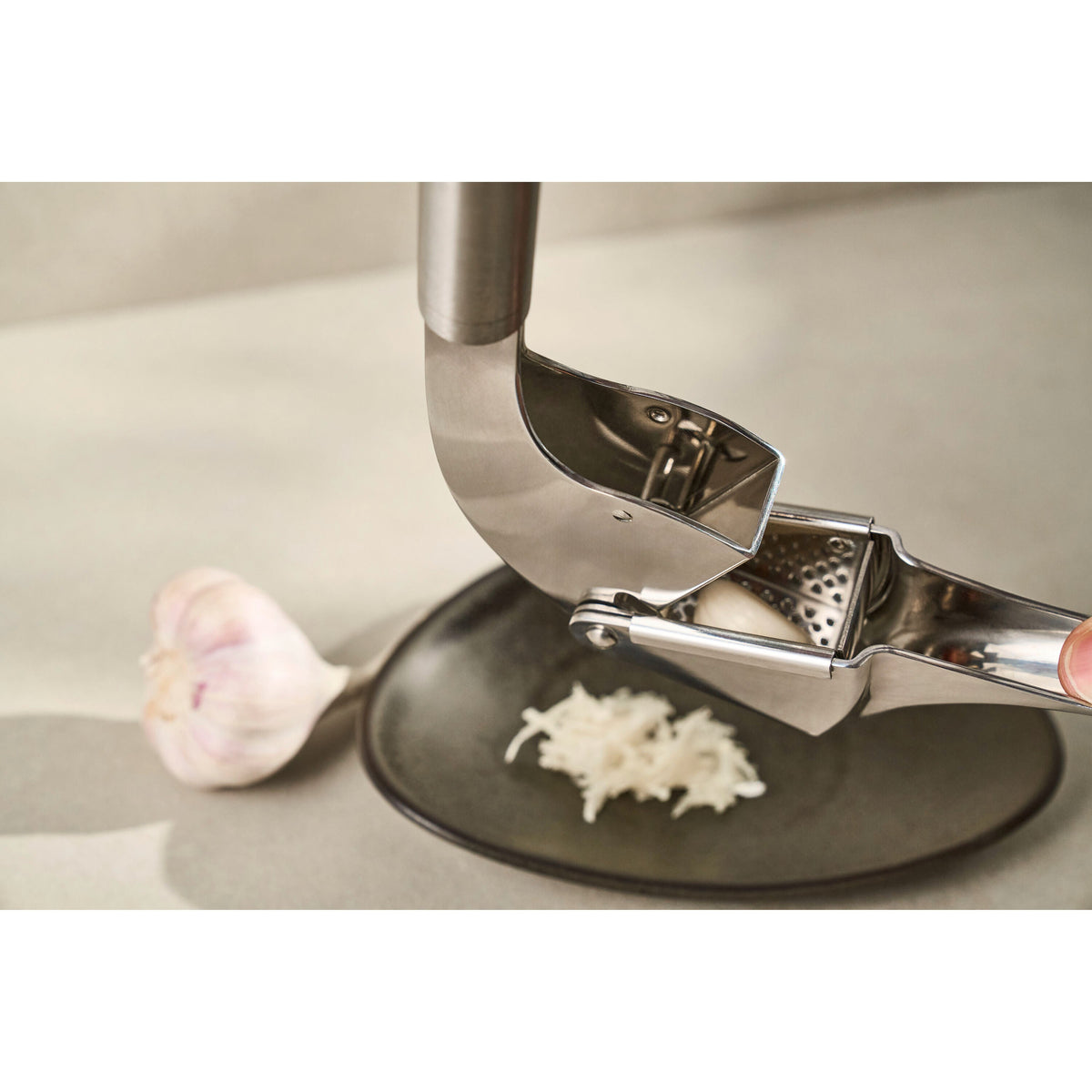 ZWILLING Pro Tools Garlic Press