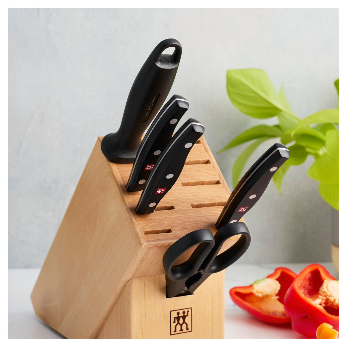 ZWILLING Signature 6-pc, Knife block set