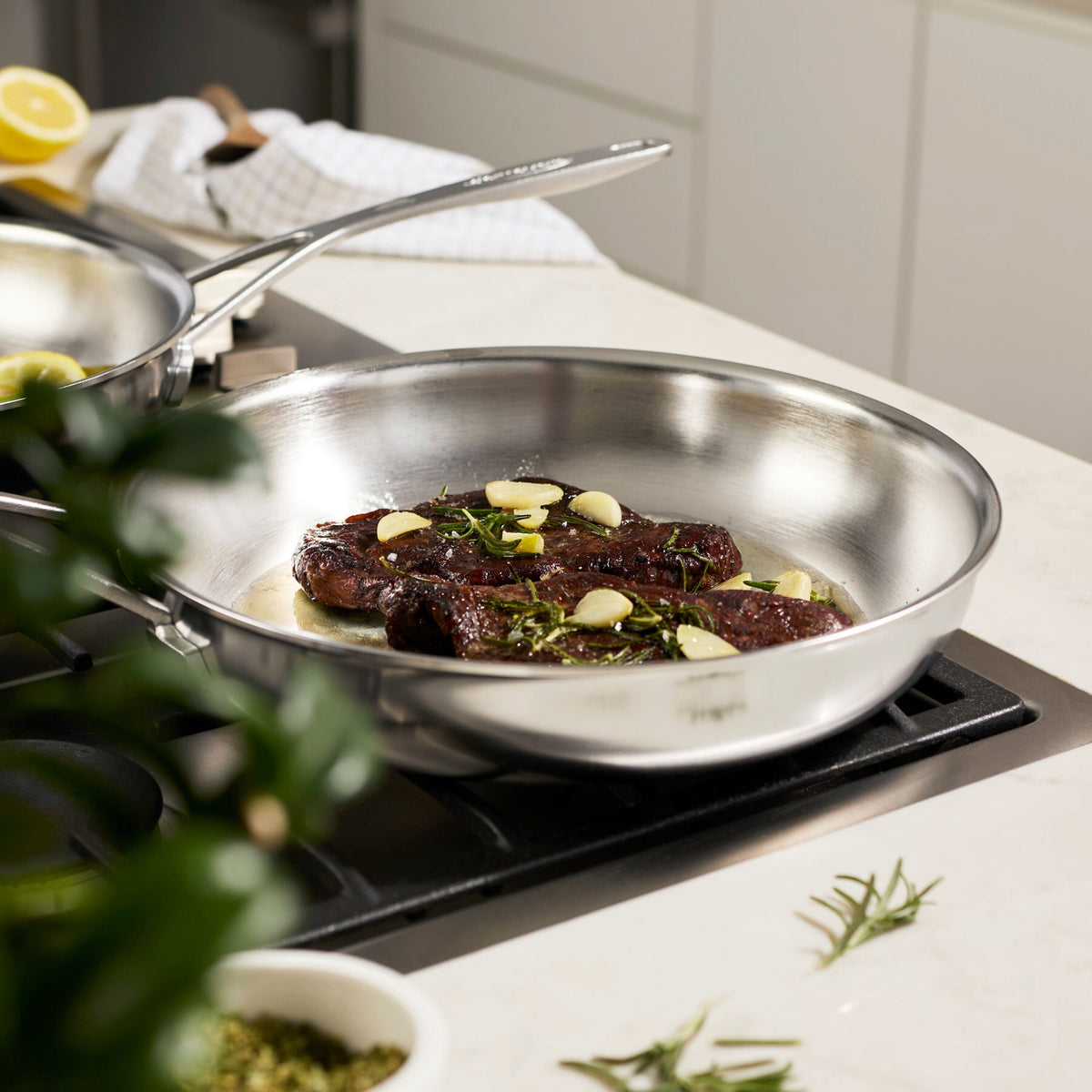 Demeyere Industry 2-pc Stainless Steel Fry Pan Set
