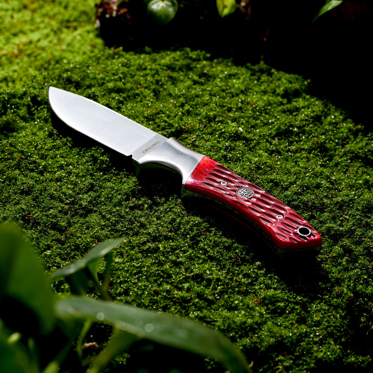 ZWILLING Outdoor Hunting knife 3.5 inch