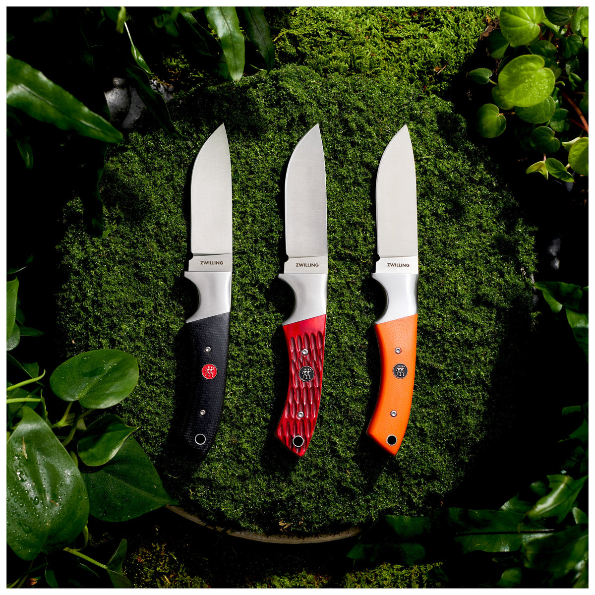ZWILLING Outdoor Hunting knife 3.5 inch